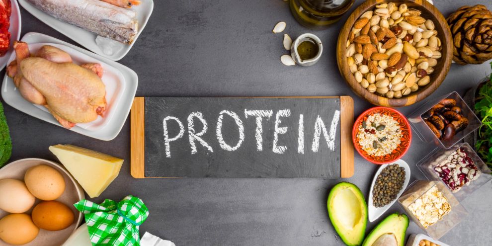 5 Nguồn Protein Hàng Đầu: Cơ Chế Khoa Học Giúp Giảm Cân & Bảo Vệ Tim Mạch